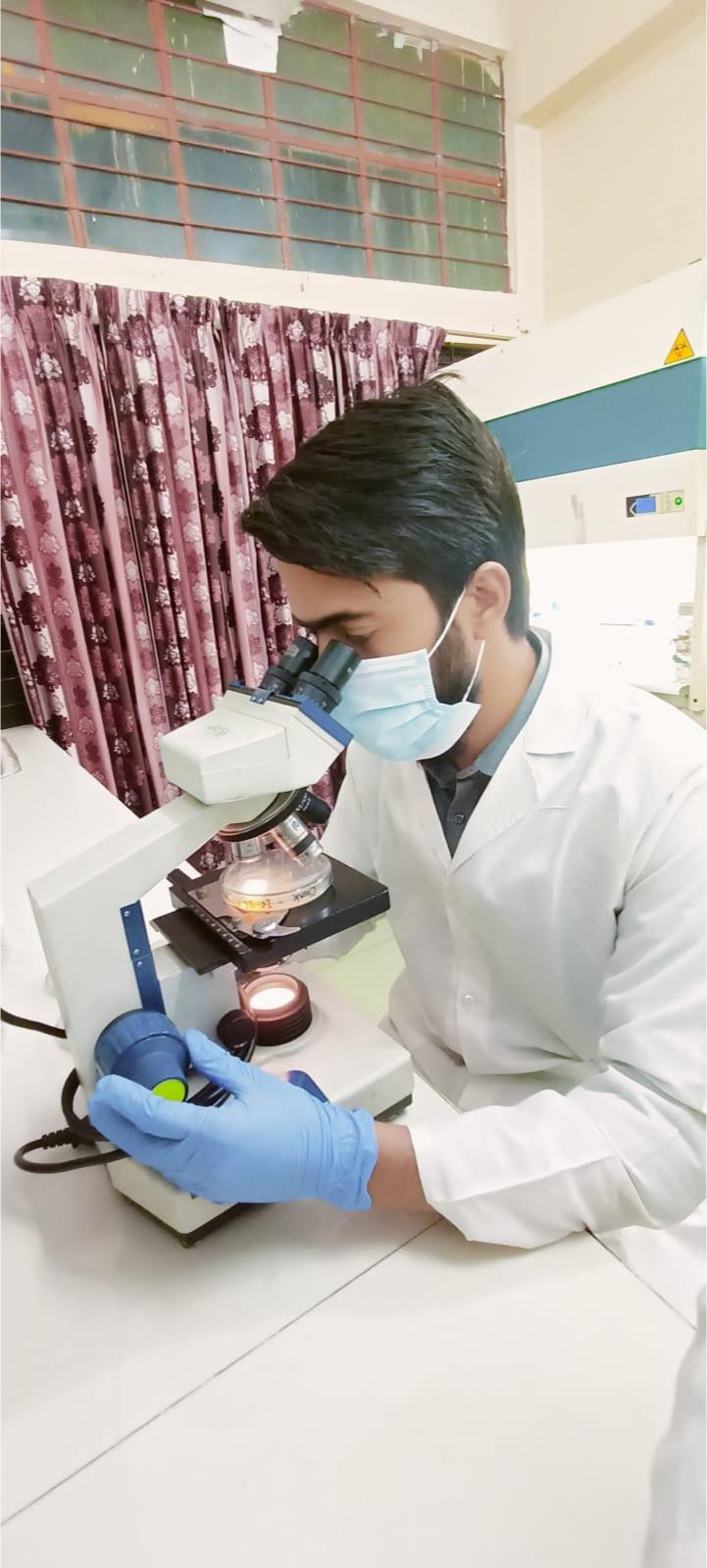 Adjusting the microscope to examine a culture plate