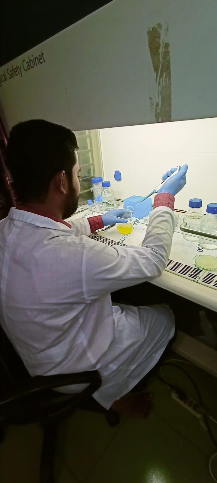 Pipetting inside the biosafety cabinet