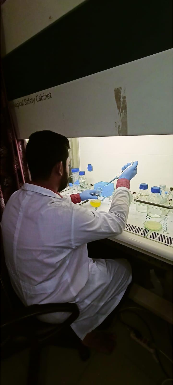 Pipetting inside the biosafety cabinet
