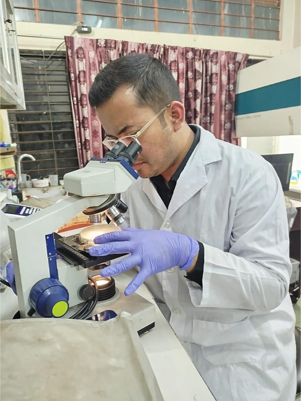 Examining a culture plate under the microscope