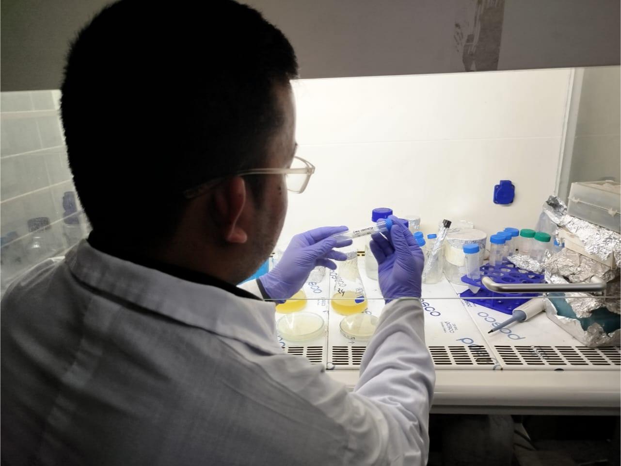 Preparing samples inside the biosafety cabinet