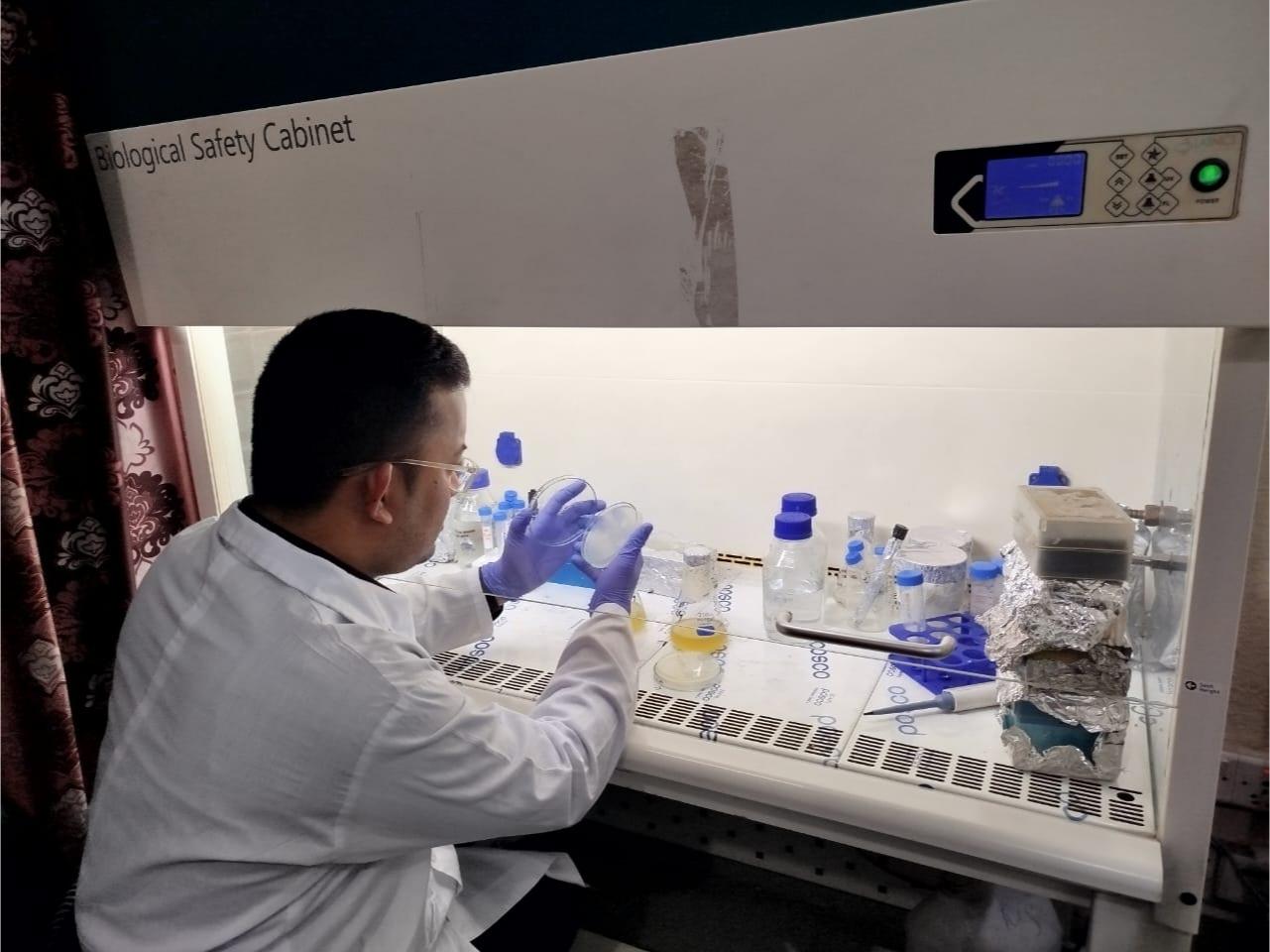 Working at the biosafety cabinet