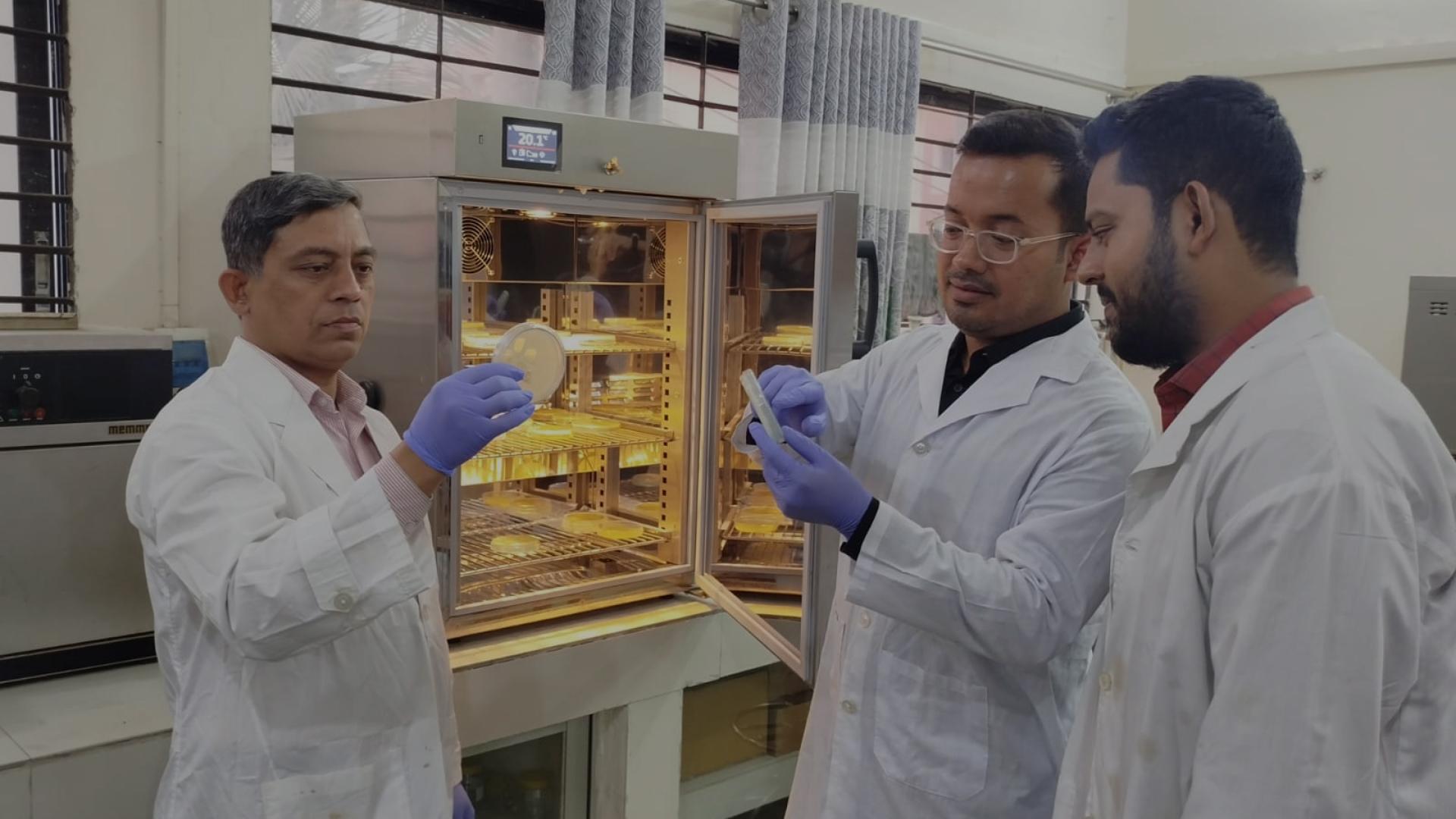 Three researchers in lab coats and gloves checking culture plates in an incubator